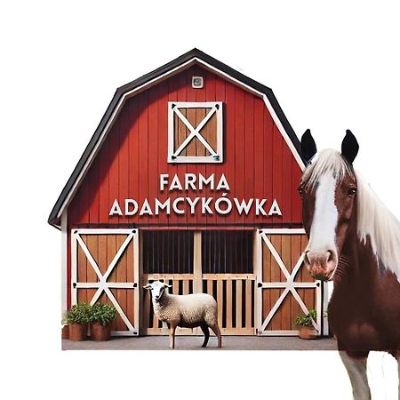 Willa Adamcykówka Kluszkowce Exterior foto
